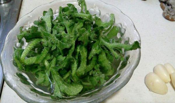 这种新型“水晶蔬菜”，已成为餐桌新贵（附冰菜种植方法）