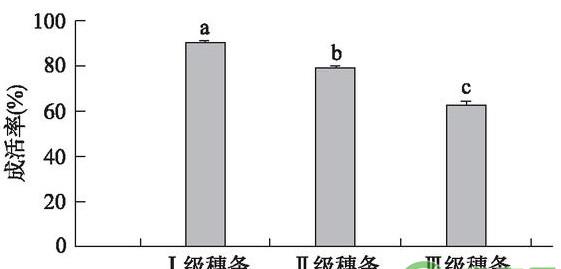 浅谈核桃改良型芽接技术的成活率