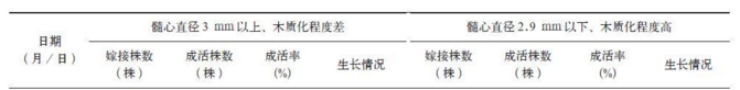 秦岭地区核桃提高高接成活率和保存率的技术探究