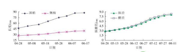 红色沙梨怎么种？红色沙梨新品种“彩云红”的栽培技术详解