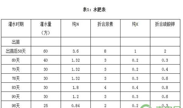 食葵亩产300公斤滴灌栽培技术规程