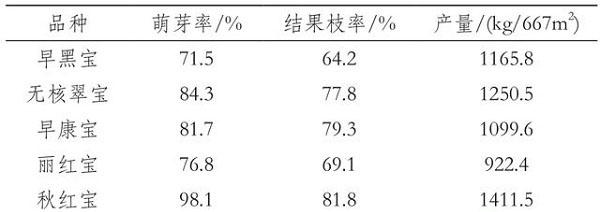 浙江地区宝系列葡萄品种引种与栽培管理