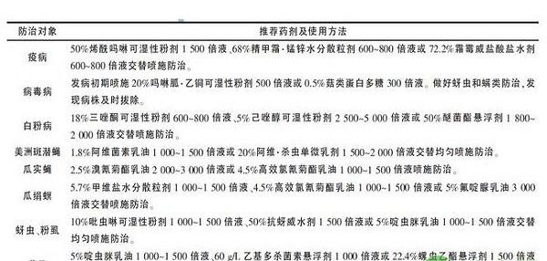 桂林地区黑皮冬瓜春季高产栽培管理技术