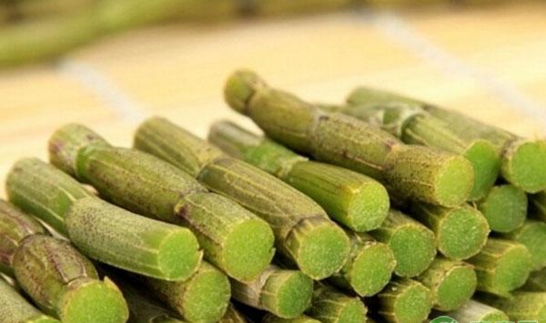 铁皮石斛种苗组织培养一次成苗育苗流程