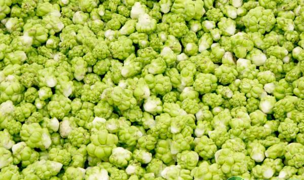 青菜头无公害优质高产栽培技术要点