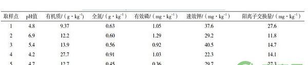 贵州六枝特区黄金芽茶引种表现及栽培技术
