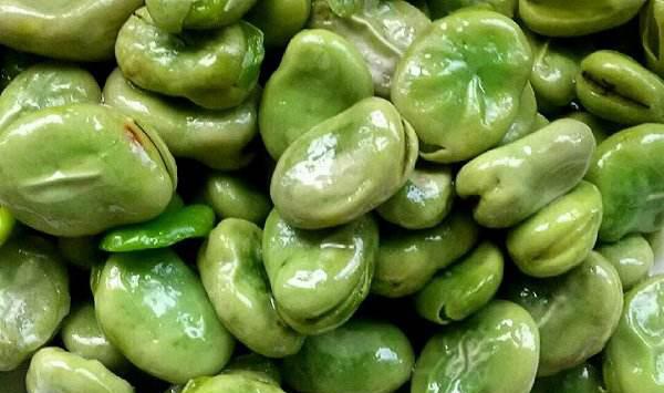 蚕豆怎么种植？蚕豆的种植要点详解