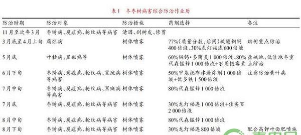 冬枣主要侵染性病害及其综合防治对策