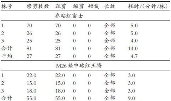 年生不同砧穗组合红富士树修剪耗时