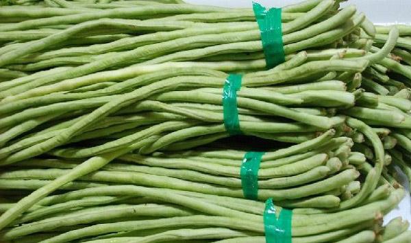 豆角怎么种才高产？豆角的高产施肥方法详解