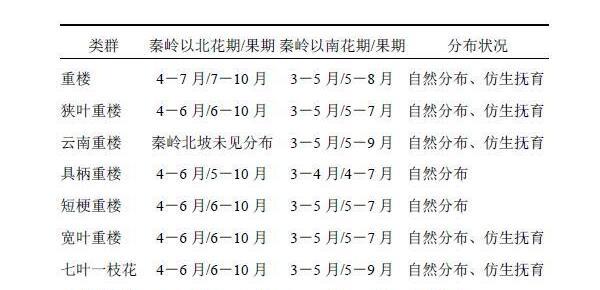 基金项目：陕产属南重楼组药用植物类群及资源调查