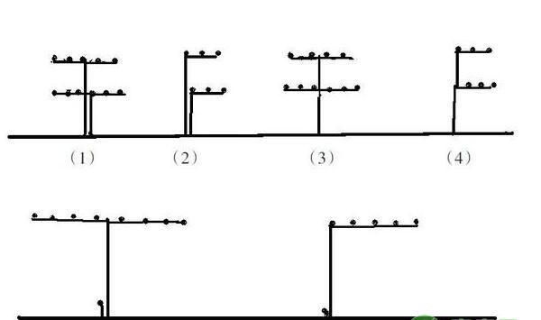 葡萄电杆式宽顶架及其树形系列