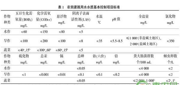 贝贝南瓜怎么种植？贝贝南瓜有机种植技术