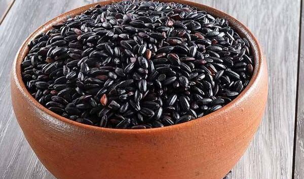 探讨灵川县黑米提纯复壮留种试验