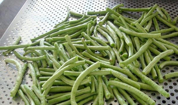 豇豆种植