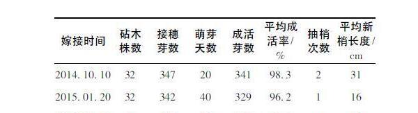 福建省平和县琯溪蜜柚与三红蜜柚高接换种技术