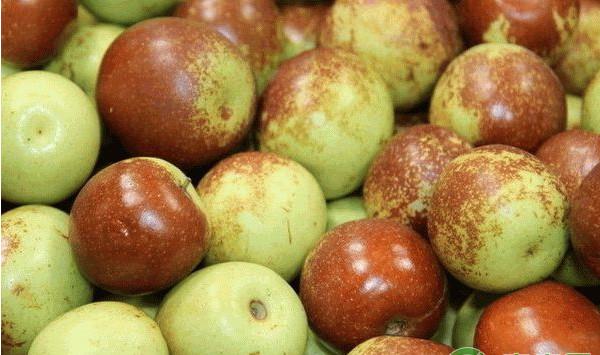 新疆喀什红枣园标准建园技术要点