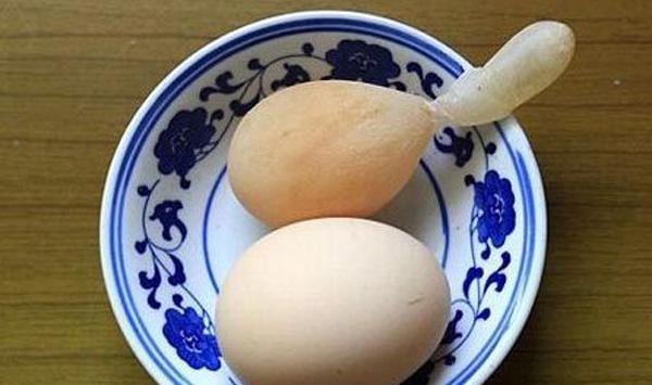 畸形蛋有哪些