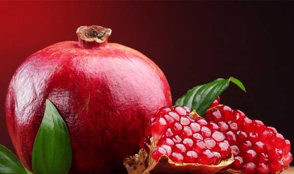 石榴怎么扦插育苗？石榴多年生大枝的春季扦插技术