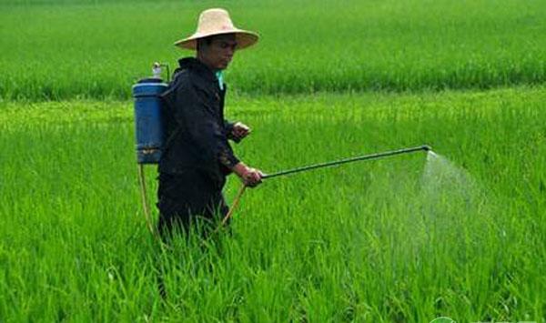 除草剂病害