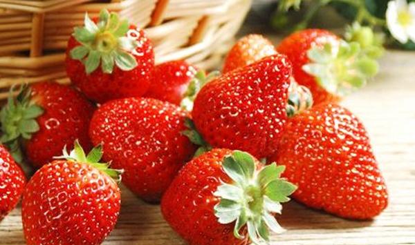 夏季高温草莓如何安全度过？