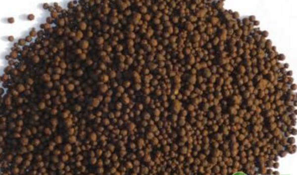 基金项目：不同叶面肥对早熟梨果实品质的影响