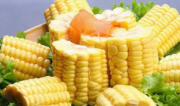 玉米种子品种多，什么样的玉米品种产量更加高产呢？