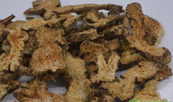 苍术繁殖方法及病虫害防治栽培技术