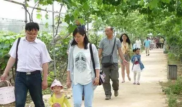 葡萄观光园设计