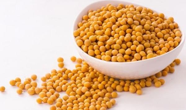 大豆倒伏如何处理？大豆倒伏的原因及应对措施
