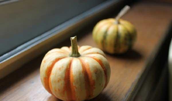 南瓜疯长不结瓜怎么办？提高南瓜坐果率及口感的方法