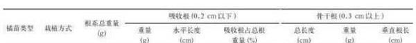 永安市特早熟温州蜜柑小苗假植大苗定植栽培技术
