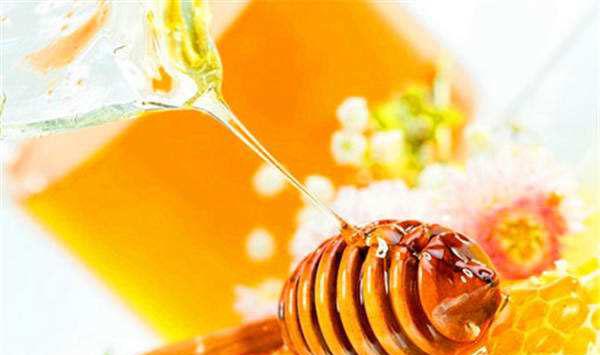 优质蜂蜜有什么特点？如何鉴别蜂蜜的品质