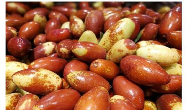 如何加快冬枣成熟？冬枣提前成熟的技巧分享