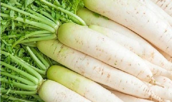 秋萝卜什么时候播种？秋萝卜高产种植管理技术