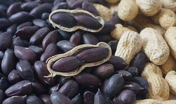 黑花生什么时候种植？黑花生种植时间和方法