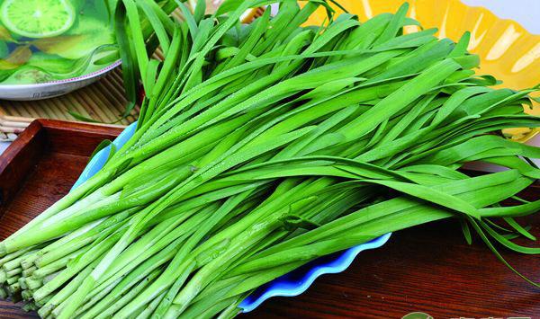韭菜秋季怎么栽培？韭菜种植的时间和方法