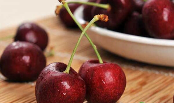 凤庆县车厘子种植气候条件及环境要求