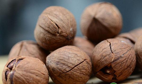 河北邢台浅山丘陵区核桃生产常见问题及解决措施