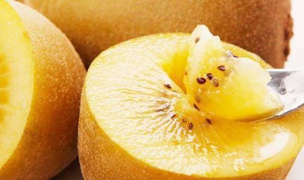 金桃猕猴桃成龄园秋季管理技术