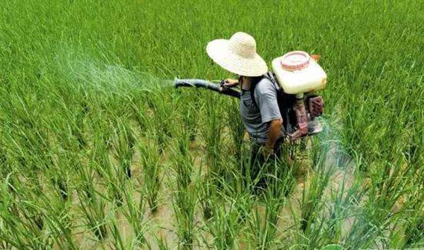 常用农药杀菌剂分类