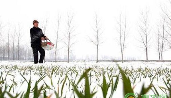 全球第六大杀菌剂铜制剂的基础知识编汇讲解