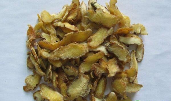 种植黄精时，如何才能缩短黄精育种繁育时间？