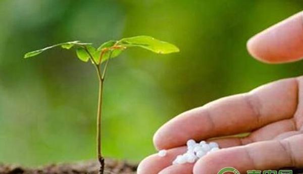 全球第六大杀菌剂铜制剂的基础知识编汇讲解