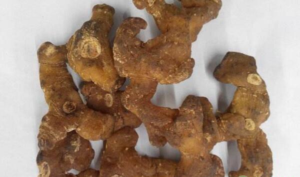 种植黄精时，如何才能缩短黄精育种繁育时间？