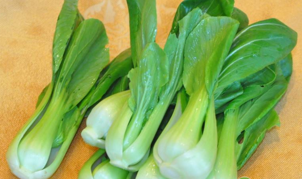 油菜苗为何会出现发黄现象？有哪些补救措施？