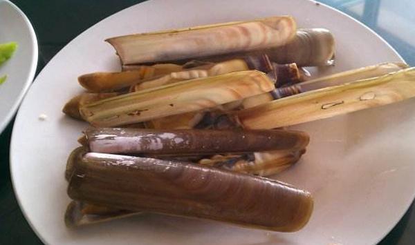 近江蛏育苗需这样进行池塘管理及病害防治