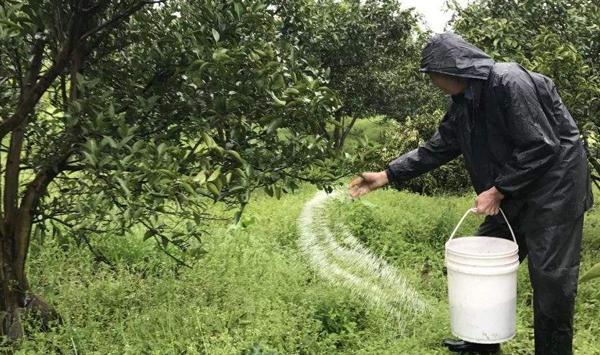 果树施肥的方法有哪些？