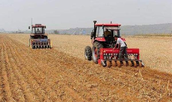 小麦播种深度影响