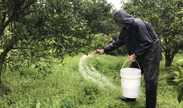 果树施肥管理